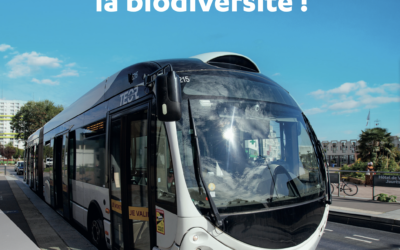 Quand les bus mesurent la biodiversité