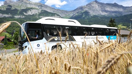 Vue-bus-champs-de-ble_web Vue-bus-champs-de-ble_web