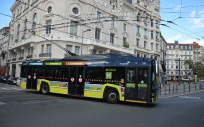 Les Verts passent au vert
