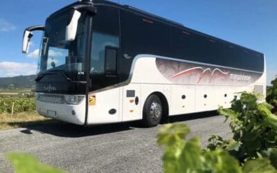 Maisonneuve devient Maisavia