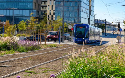 6 ans pour atteindre la gare Sud de France !