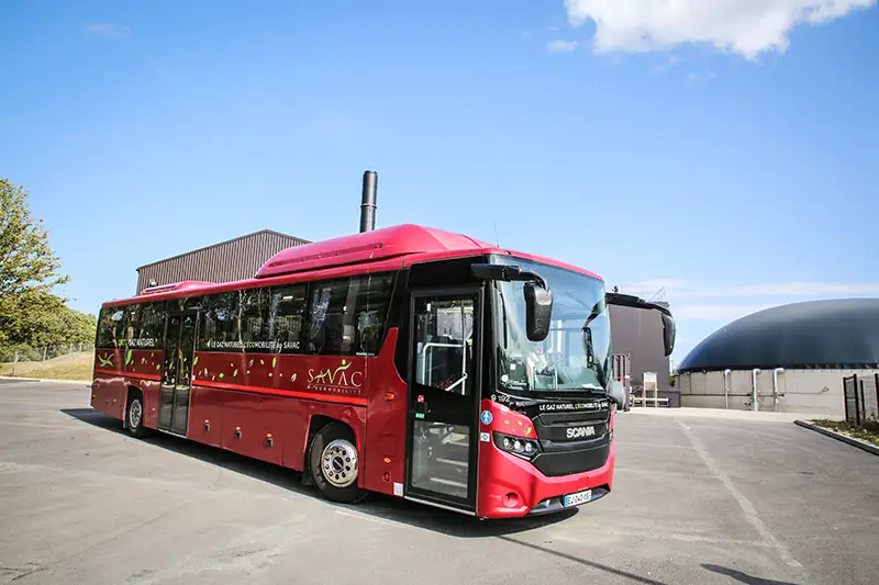 Bus rouge Stephane Guenet